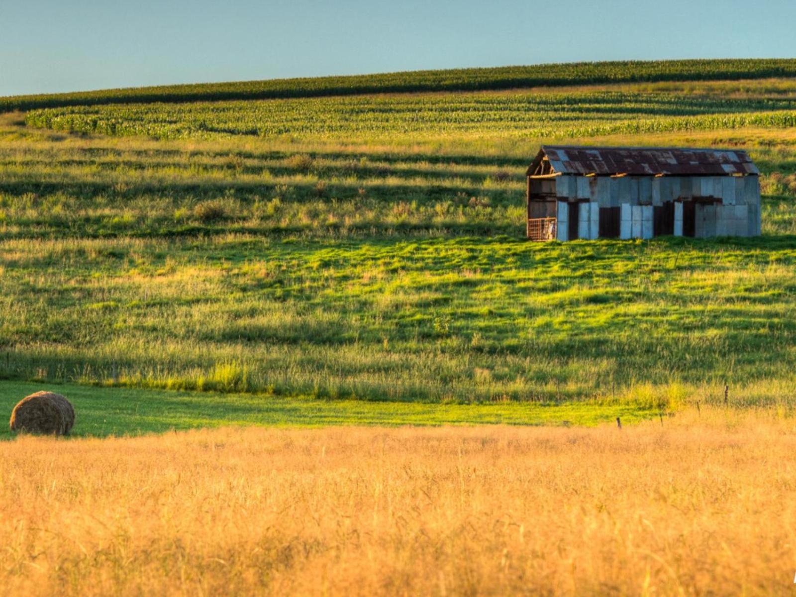 Flitwick Ranch Hotel Swartberg Kültér fotó