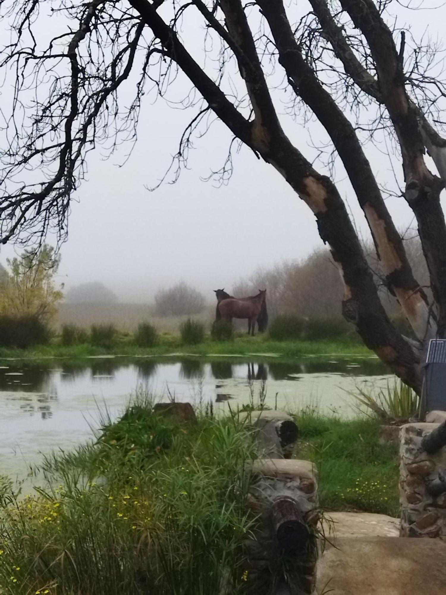 Flitwick Ranch Hotel Swartberg Kültér fotó